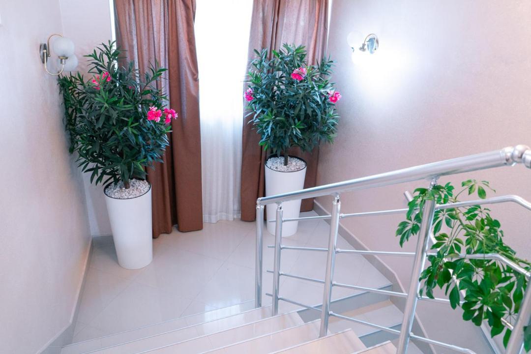 Hotel Zeleni Vir Ni エクステリア 写真